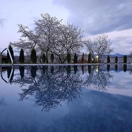 Soare-N Maramures Budeşti Exteriér fotografie