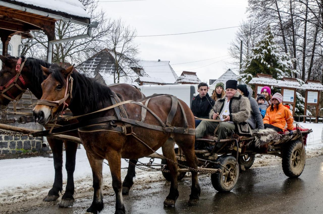 Soare-N Maramures Budeşti Exteriér fotografie